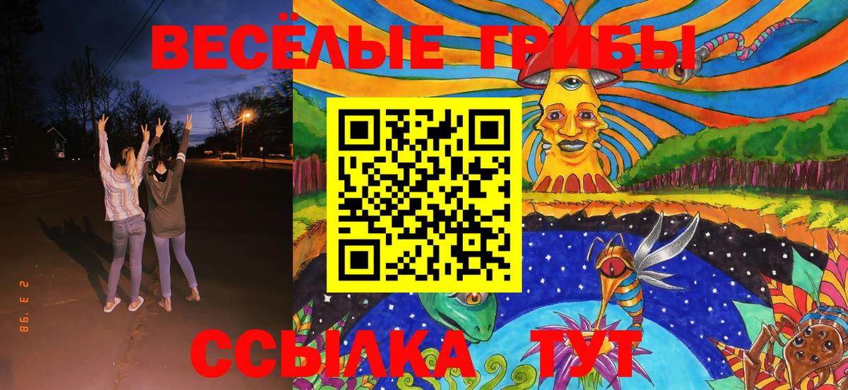 сколько стоит  Псилоцибиновые грибы MAGIC MUSHROOMS  Псилоцибиновые грибы мицелий  Вход с VPN  Каменск-Шахтинский 